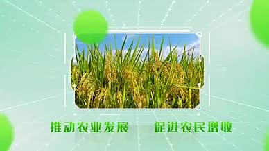 乡村振兴绿色智慧农业发展图文相册AE模板视频的预览图